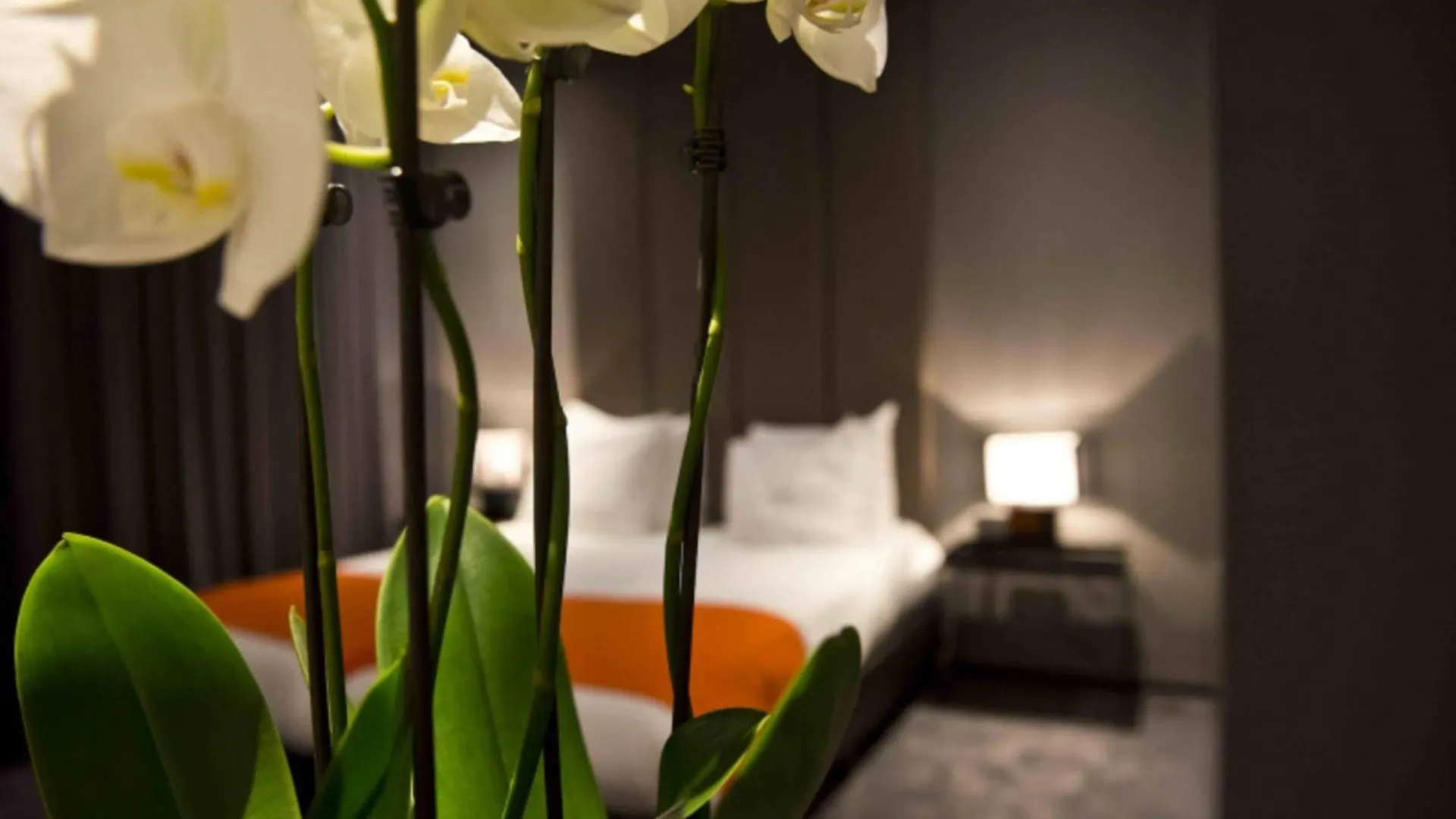 Design Hotel Glow Eindhoven Netherlands